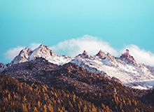 开云APP-魔咒！京粤沪淘汰东京FC首进亚冠8强 随后全出局